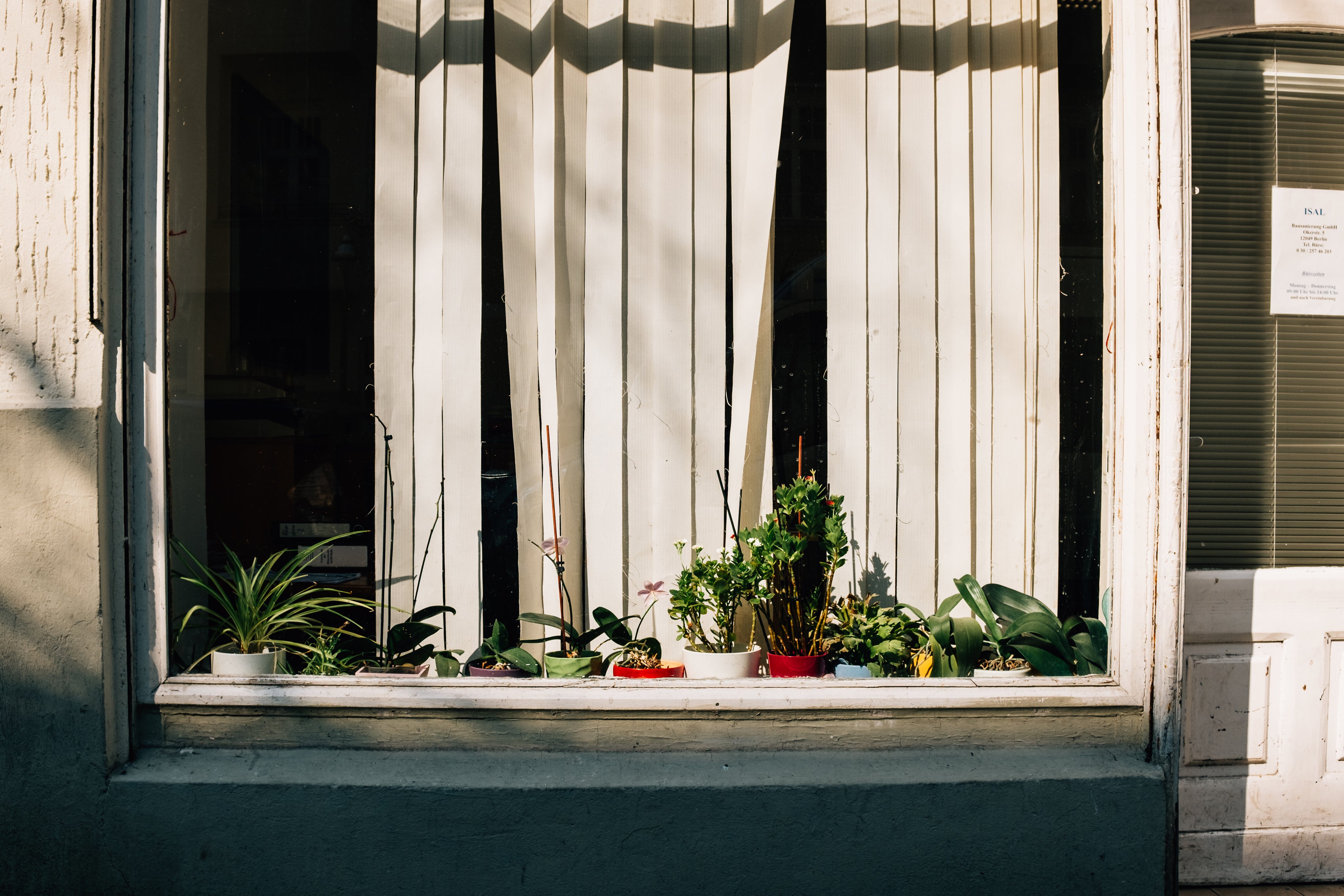 planted-pots-in-a-windowsill.jpg